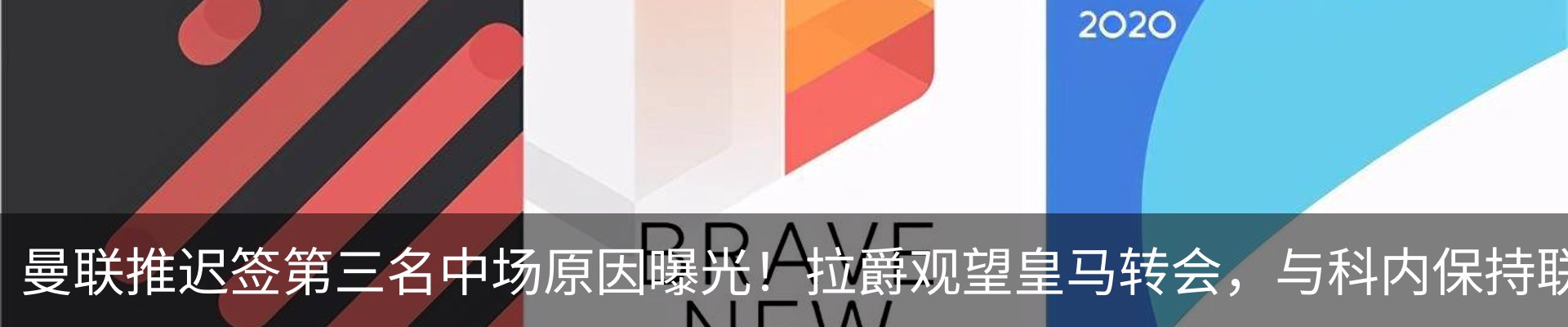 最新动态