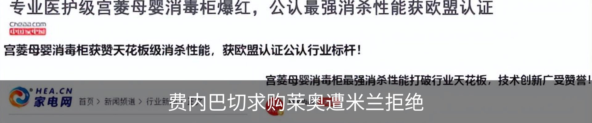 最新动态
